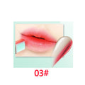 Gloss Lipstick Makeup